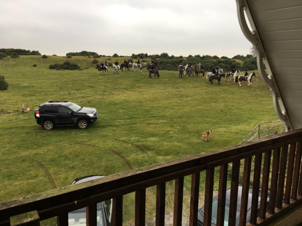 The Curragh Country House Accommodation Newbridge  Buitenkant foto